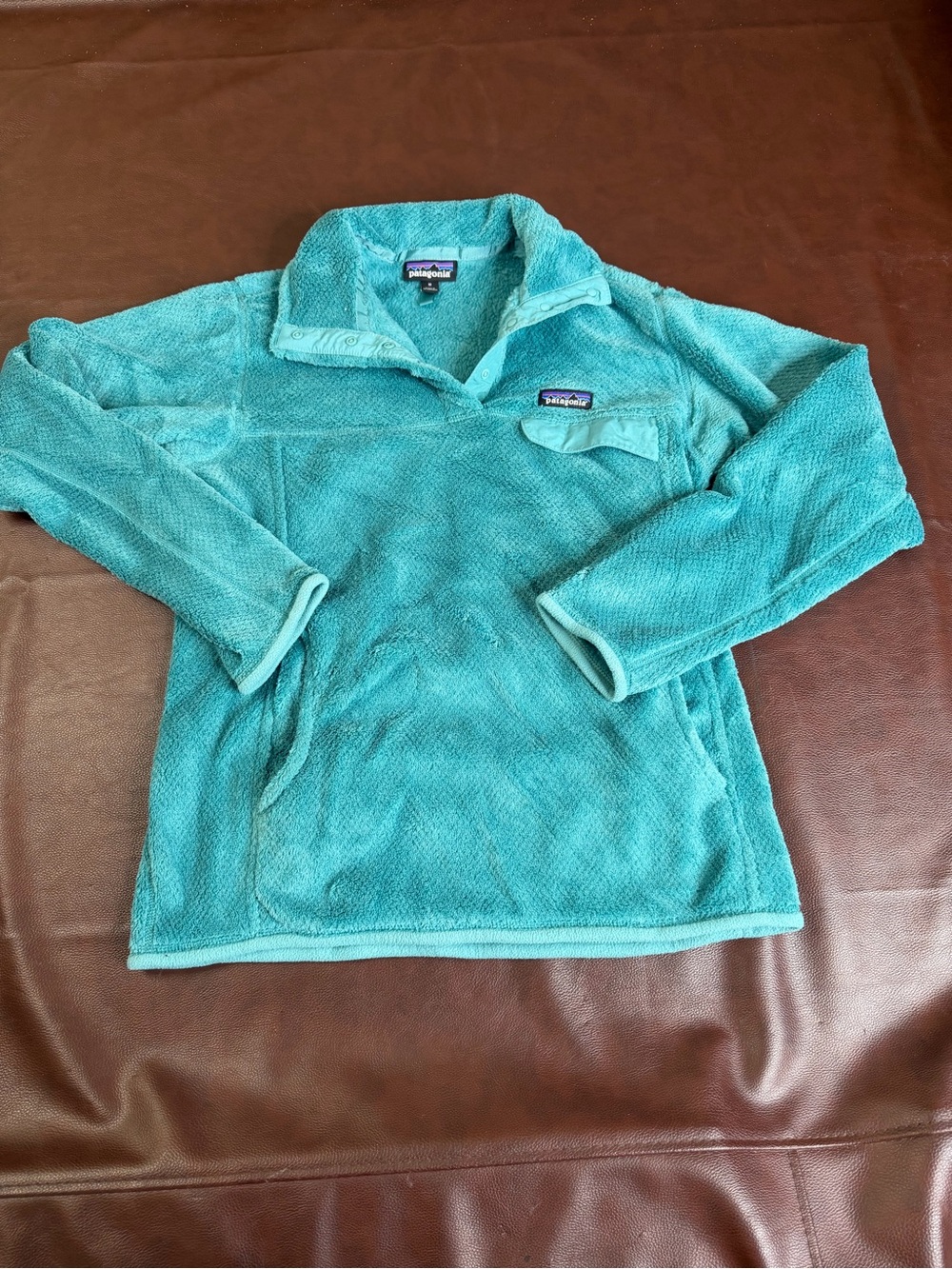 Women’s Patagonia Teal Fleece Pullover Jacket